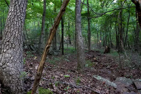 tbd Madison 5310, Witter, AR 72776 photo 22