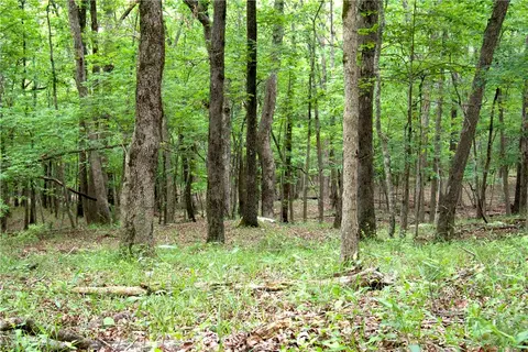 tbd Madison 5310, Witter, AR 72776 photo 28