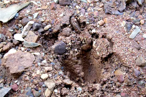 tbd Madison 5310, Witter, AR 72776 photo 23