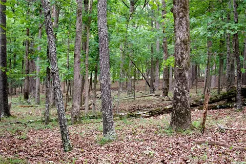 tbd Madison 5310, Witter, AR 72776 photo 24