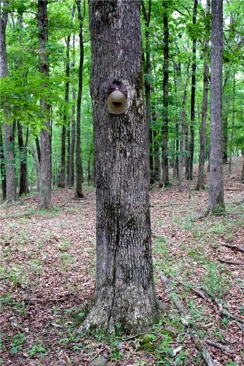 tbd Madison 5310, Witter, AR 72776 photo 29