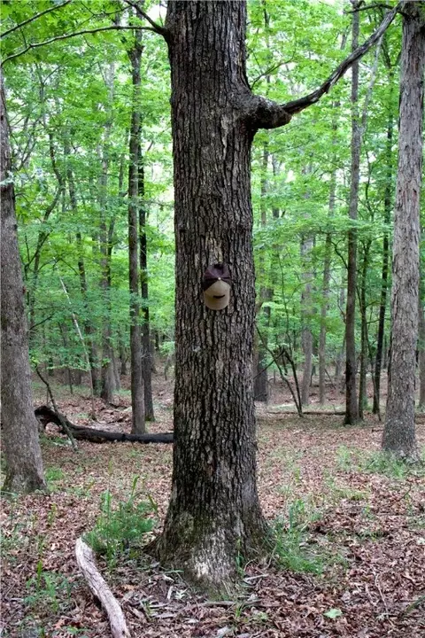 tbd Madison 5310, Witter, AR 72776 photo 32