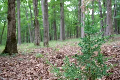 tbd Madison 5310, Witter, AR 72776 photo 26