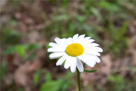 tbd Madison 5310, Witter, AR 72776 photo 52