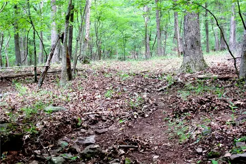 tbd Madison 5310, Witter, AR 72776 photo 48