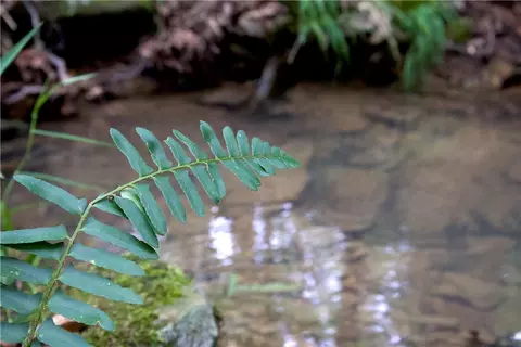 tbd Madison 5310, Witter, AR 72776 photo 44