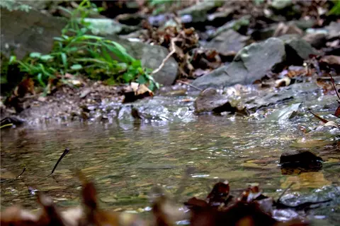 tbd Madison 5310, Witter, AR 72776 photo 40