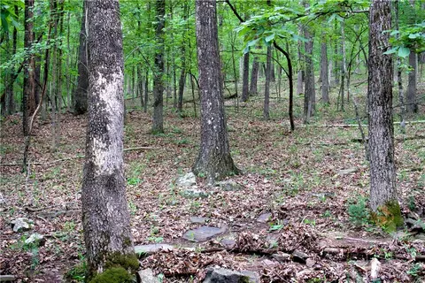 tbd Madison 5310, Witter, AR 72776 photo 39