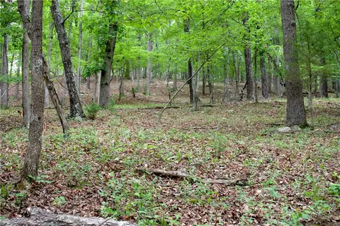 tbd Madison 5310, Witter, AR 72776 photo 42