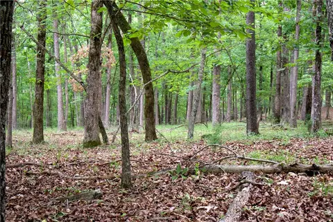 tbd Madison 5310, Witter, AR 72776 photo 25