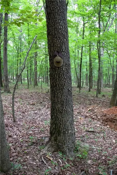 tbd Madison 5310, Witter, AR 72776 photo 51