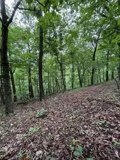 Summit Drive, Holiday Island, AR 72631