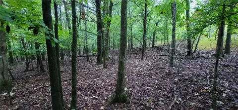 156 Pinehaven Dr, Winslow, AR 72959