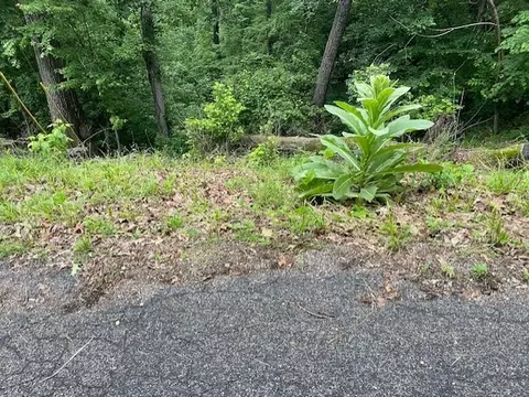 Spencer Drive, Bella Vista, AR 72715