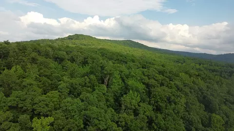Other - 1732 Madison 4316, Elkins, AR 72727 photo 13 of 13