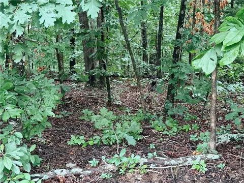 Cranfield Drive, Bella Vista, AR 72714