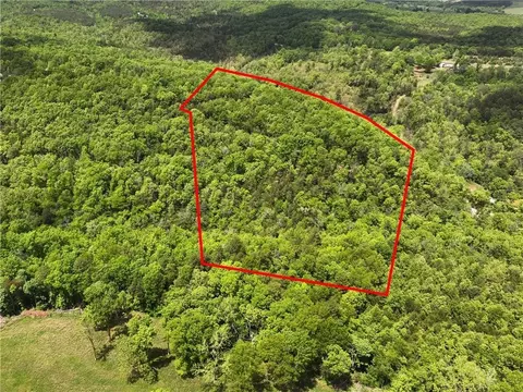 tbd Polite Rd, Omaha, AR 72662 photo 10