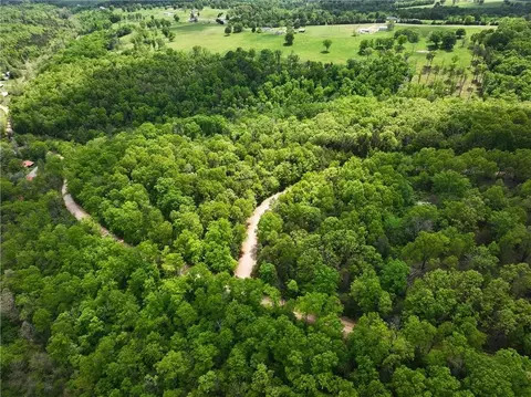 tbd Polite Rd, Omaha, AR 72662 photo 5