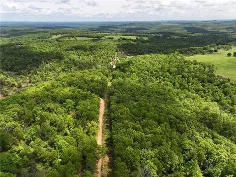 tbd Polite Rd, Omaha, AR 72662 photo 2