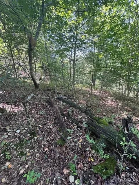 lot10 Block 4 Gretton Ln, Bella Vista, AR 72714