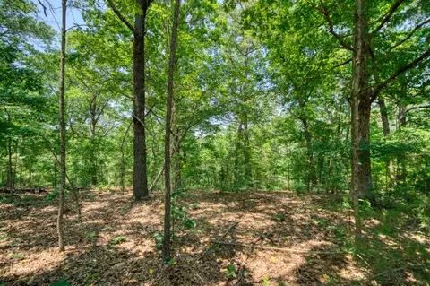 Pine Ridge Lane / C Street, Eureka Springs, AR 72631