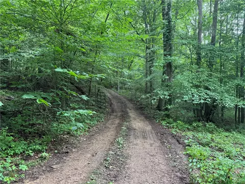 Exterior - tbd Nc 7460, Deer, AR 72628 photo 6 of 9