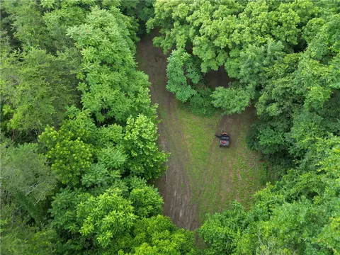 View/Area - tbd Nc 7460, Deer, AR 72628 photo 16 of 22
