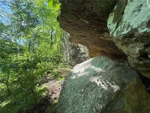 Exterior - tbd Nc 7460, Deer, AR 72628 photo 5 of 9