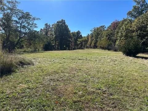 236 Cardinal Ln, Powell, MO 65730 photo 6