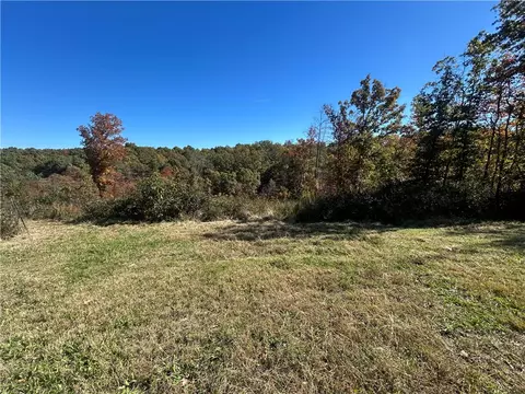 236 Cardinal Ln, Powell, MO 65730 photo 5