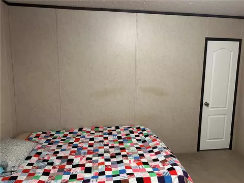 236 Cardinal Ln, Powell, MO 65730 photo 9