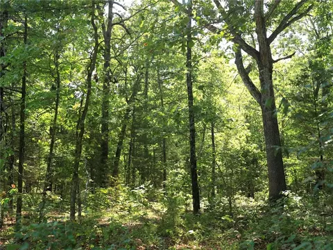 602 Catbird Cir, Horseshoe Bend, AR 72512
