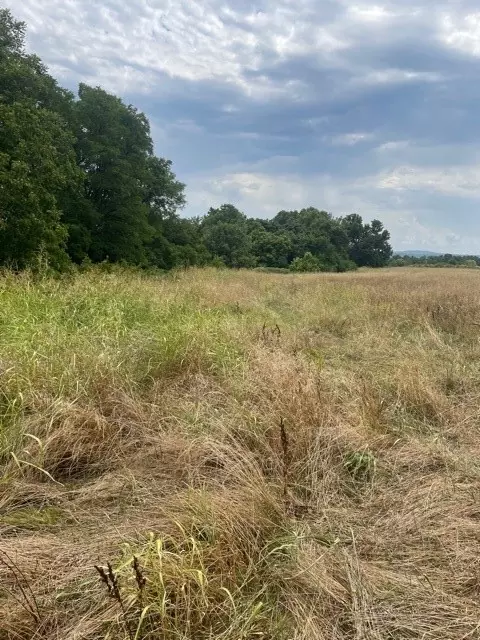 lot62 Riverside Estates Ph Iv, Goshen, AR 72701