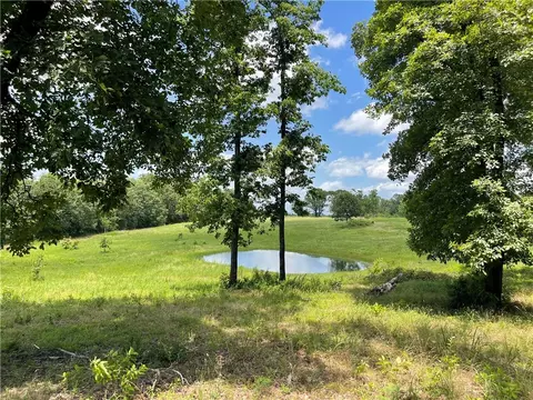 View/Area - 4860 Buck Mountain Rd, Dover, AR 72837 photo 1 of 1