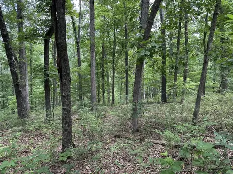 lot7 Eccleston Ln, Bella Vista, AR 72714