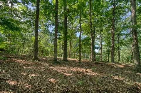Windsong Lane, Eureka Springs, AR 72631