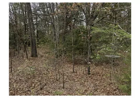 Bayhill Lane, Bella Vista, AR 72715
