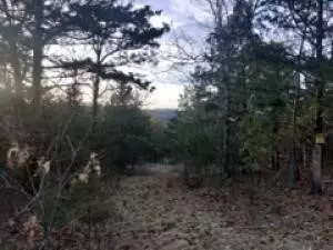 19641 Stonington Rd, Omaha, AR 72601