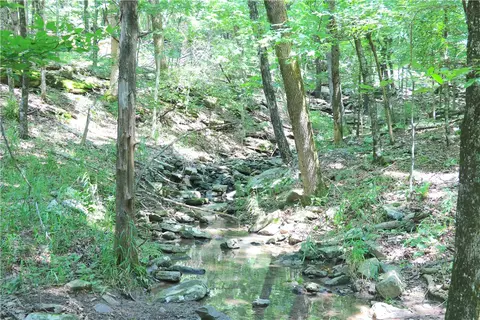 000 Hale Mountain Rd, Canehill, AR 72717