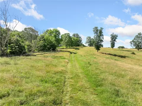 Payne Road, Harrison, AR 72601 photo 24