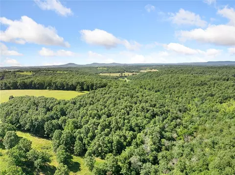 Payne Road, Harrison, AR 72601 photo 33