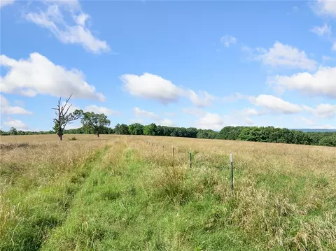 Payne Road, Harrison, AR 72601 photo 31