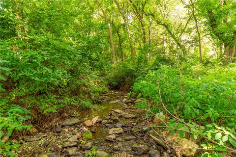 Other - 3128 Silver Valley Rd, Harrison, AR 72601 photo 17 of 18