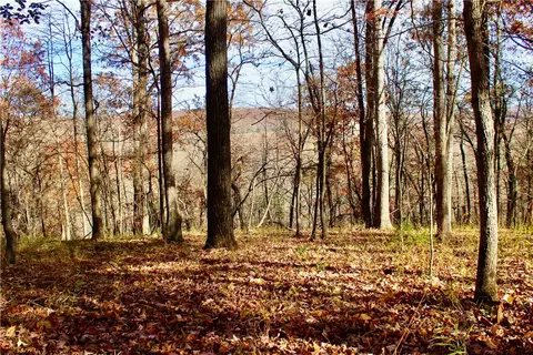 000 Madison 2305, Huntsville, AR 72740