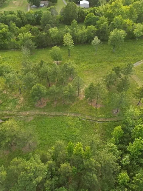 Alley Drive, London, AR 72847