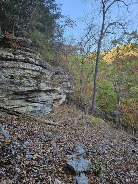 tbd Ventris Rd, Garfield, AR 72732 photo 34