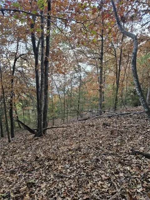 tbd Ventris Rd, Garfield, AR 72732 photo 37