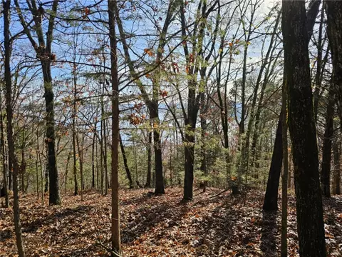 tbd Ventris Rd, Garfield, AR 72732 photo 9