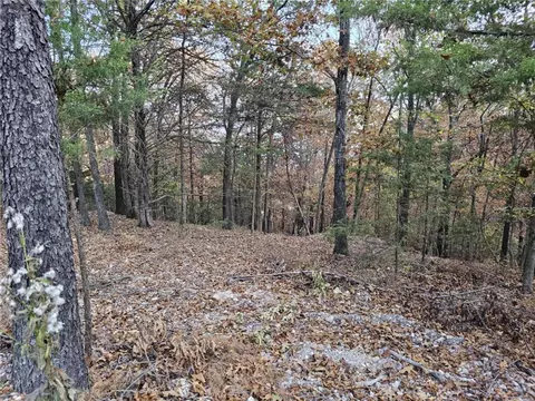 tbd Ventris Rd, Garfield, AR 72732 photo 43