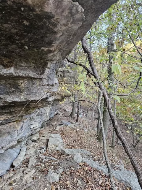 tbd Ventris Rd, Garfield, AR 72732 photo 32